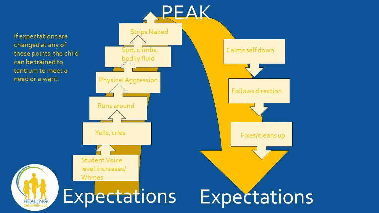 Temper Tantrum Cycle