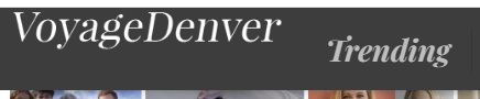 Voyager Denver